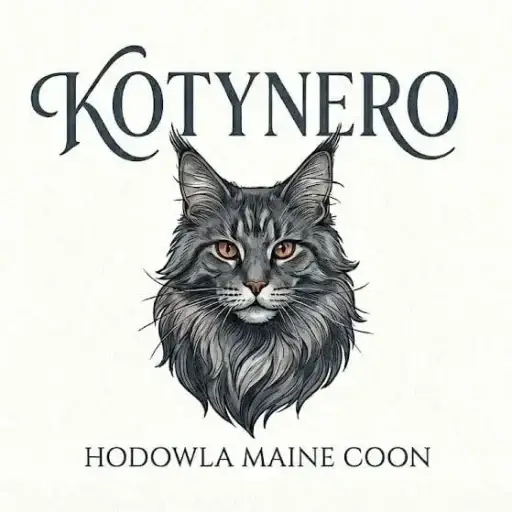 Logo KotyNero